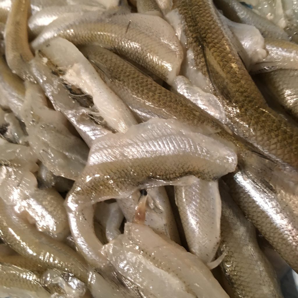 Fresh Smelt (headless and cleaned)