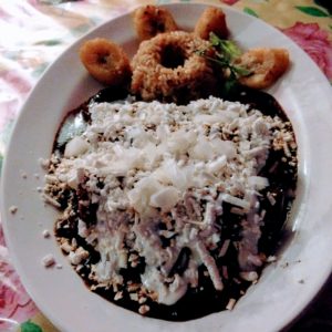 La Casa de Frida - Chicken Mole
